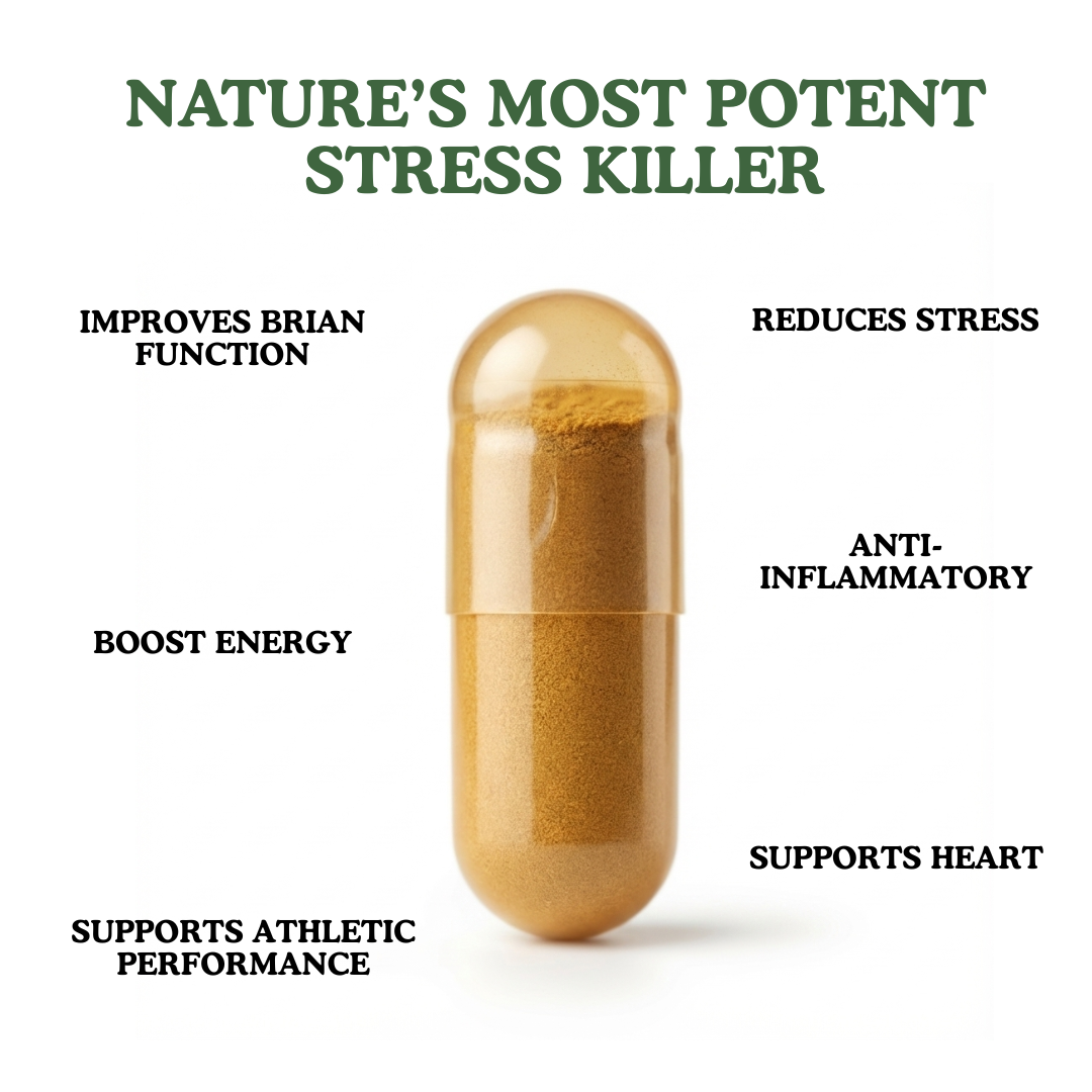 Rhodiola Rosea Extract (500mg)