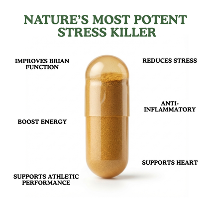 Rhodiola Rosea Extract (500mg)