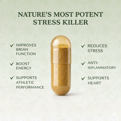 Rhodiola Rosea Extract (500mg) (Copy)